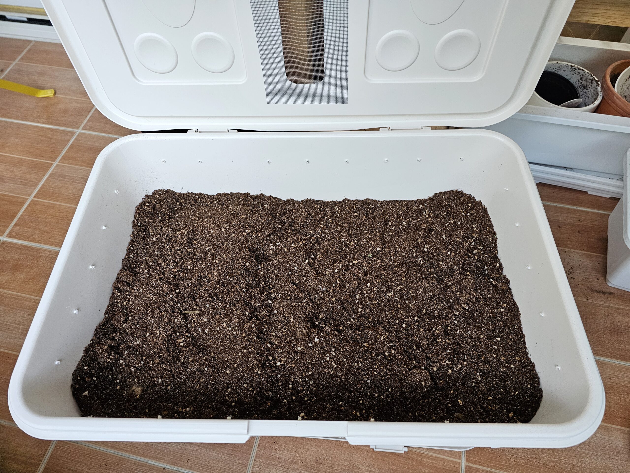 지렁이 집 만들기